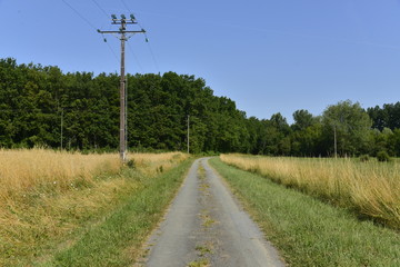 Fototapeta na wymiar Chemin de campagne le long d'une ligne électrique de l'E.D.F. 