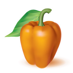 Bell pepper isolated on a white background