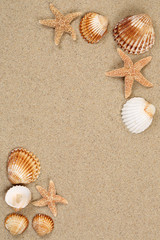 Fototapeta na wymiar Strandszene im Urlaub Sommer am Sandstrand und Textfreiraum