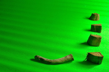 Abstract - brown tree trunks in the green meadow