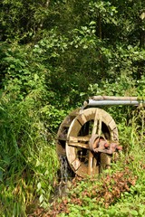 Wasserrad im Wald