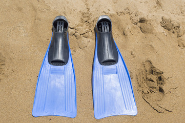 Pair of  diving fin on the beach