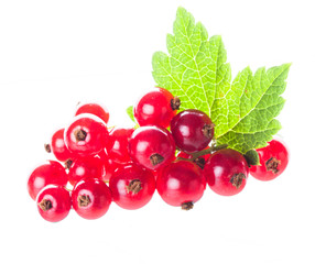 Red currant isolated