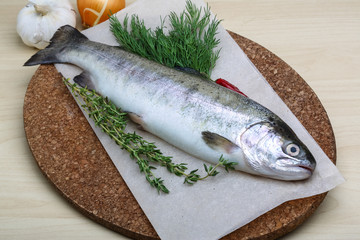 Raw trout