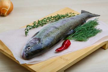 Raw trout