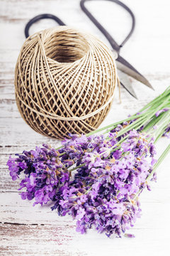 Fresh lavender
