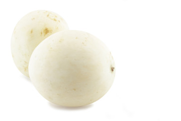 Cantaloupe