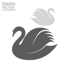 Naklejka premium Swan 