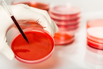 Cancer Cell, Cell, Medical Research.