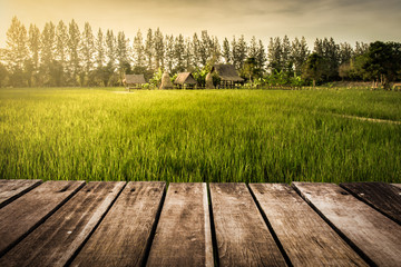 rice farm and wooden platform