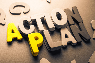 Action plan
