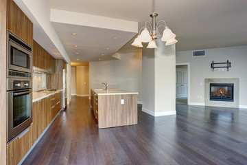 perfect modern kitchen with hardwood floor.