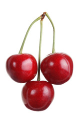 Three ripe cherries appetiitnyh on a white background