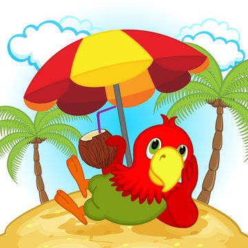 parrot resting on beach - vector illustration, eps