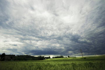meadow in a cloudy storm