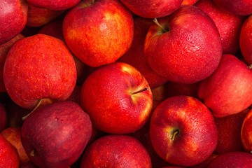Fototapeta na wymiar Apple, Fruit, Autumn.