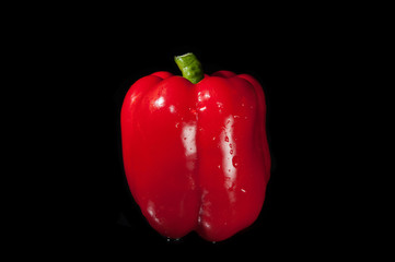 bell pepper