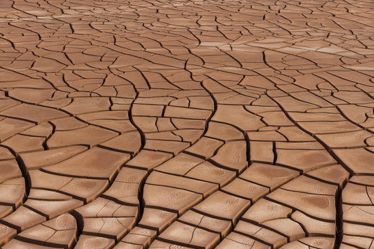 Balsa de deposito de lodos de gravera con tierra arcillosa cuarteada
