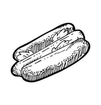 hotdog doodle