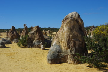 The pinnacles