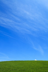 Fototapeta premium 高原の丘