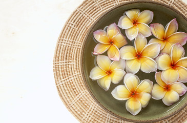 Fototapeta na wymiar Fresh plumeria flower in water bowl background