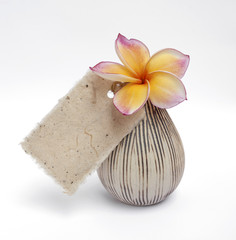 Plumeria flower in ceramic vase with paper tag