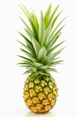 Fototapeta premium pineapple with leaves on white background.