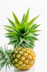 pineapple  on white background.