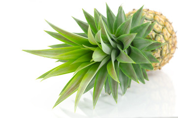 Pineapple's leaves on white background.