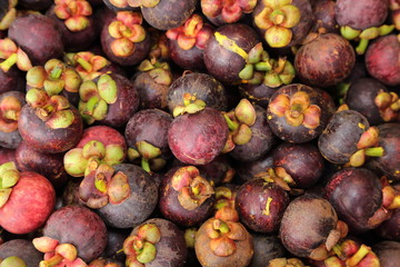 fresh mangosteens
