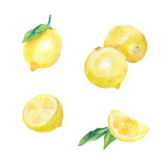 Watercolor lemons (whole, half, slice)