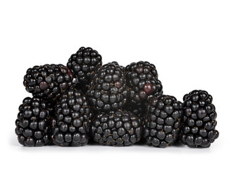 blackberries isolated on white background