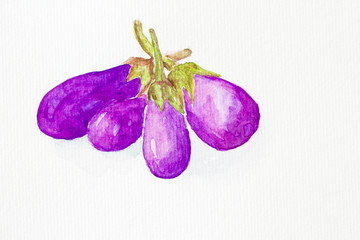 eggplant' watercolor painted