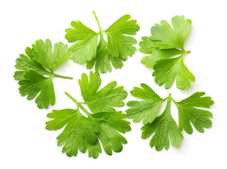 Parsley herb isolated