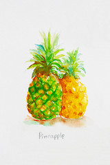 pineapple ' watercolor paininted