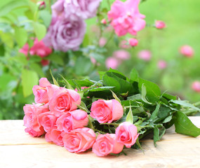 Pink roses 