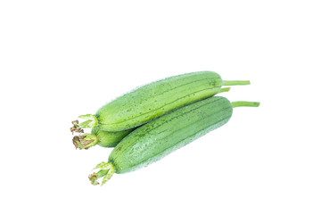 Sponge Gourd