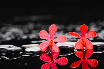 Foto op Plexiglas Spa still life with flowering of the red orchid © Mee Ting