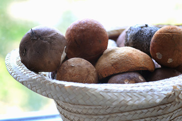 fresh mushrooms in a basket