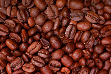 coffee bean background