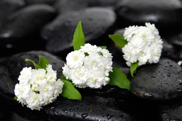 Rolgordijnen Set of three white flower with therapy stones © Mee Ting