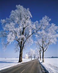 厳冬期のババリア地方の霧氷の木