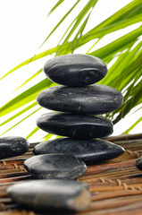 green palm with stacked stones on mat  