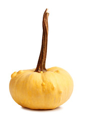 Big yellow pumpkin on isolated background