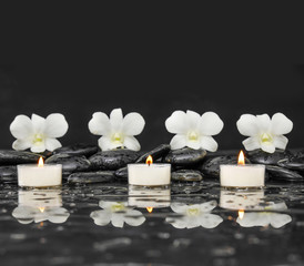 Still life with three orchid with white candle on black stones