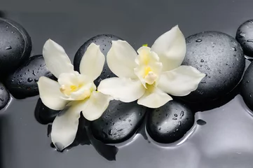 Foto op Canvas Two white orchid flowers with therapy stones  © Mee Ting