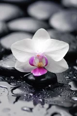 Schilderijen op glas Witte orchidee met zwarte stenen op natte achtergrond © Mee Ting