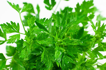 organic parsley