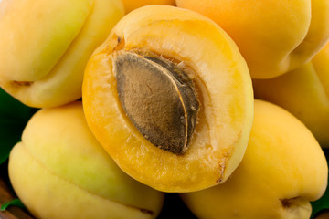 apricots close-up